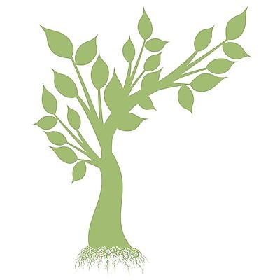 EPS 해외이미지 나무 식물 디자인 계절 꽃 실루엣 백그라운드 잎 꽃무늬 패턴 일러스트 자연 추상 미술 장식 초록색 유행 검은색 성장 소용돌이 흰색 나뭇가지 심볼 질감 나무껍질 해외202004 해외일러스트 컬러 무늬 문화예술 촬영기법 회오리 껍질 생태계 파일형식 벡터 이미지허브
