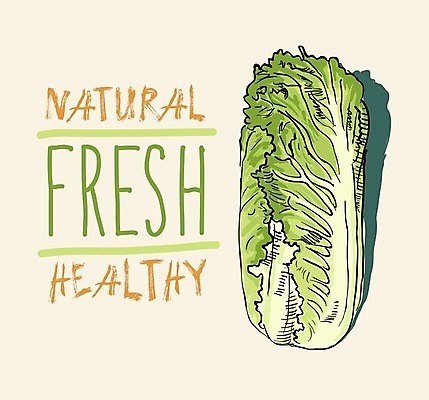 EPS 해외이미지 식물 길 음식 백그라운드 잎 다이어트 채소 일러스트 재료 자연 수채화 건강 저울 요리 미술 그래픽 초록색 농장 머리 정원 페인트 샐러드 수확 흰색 신선 원형 그룹 시장 만화 스케치 먹기 가득함 오브젝트 그림 유기농 양배추 날것 내추럴 고립 채식주의자 케일 해외202004 해외일러스트 도형 웰빙 컬러 농업 모션 문화예술 신체부위 생태계 채식 파일형식 벡터 이미지허브