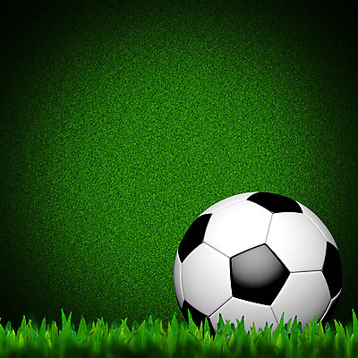 포토 JPG 해외이미지 식물 계절 스포츠 백그라운드 밭 일러스트 공 자연 놀이 하늘 풍경 사람없음 야외 초록색 여름 운동 환경 맑음 검은색 축구 경쟁 장비 게임 흰색 신선 야간 만들기 점수 내추럴 챔피언 해외202004 해외포토 자연요소 컬러 컨셉 농업 모션 날씨 건강 구기 생태계 파일형식 이미지허브