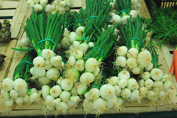 포토 JPG 해외이미지 식물 음식 백그라운드 농업 다이어트 채소 과일 재료 전구 자연 양파 건강 요리 미술 사람없음 빨간색 초록색 농작물 컬러풀 노란색 주방 저녁식사 봄 샐러드 흰색 신선 그룹 시장 닫기 아침식사 다발 먹기 대나무 유기농 매움 날것 뿌리 고립 채식주의자 해외202004 해외포토 나무 웰빙 계절 산업 컬러 모션 문화예술 식사 맛 생태계 채식 파일형식 이미지허브