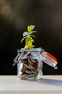 포토 JPG 해외이미지 식물 돈 비즈니스 자연 추상 사람없음 목재 달러 동전 희망 유로 성장 조끼 변화 오브젝트 파운드 금괴 수목 해외202004 해외포토 나무 감정 컨셉 무늬 재료 외투 재산 황금 생태계 파일형식 이미지허브