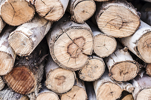 포토 JPG 해외이미지 나무 산업 자연 사람없음 야외 목재 갈색 쌓기 반지 원형 장작 자르기 질감 통나무 잡동사니 내추럴 수목 해외202004 해외포토 도형 식물 컬러 재료 장신구 모션 생태계 파일형식 이미지허브