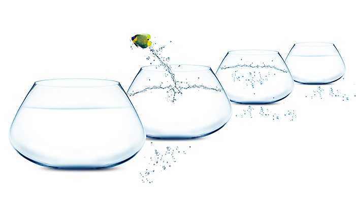 포토 JPG 해외이미지 동물 행복 파도 백그라운드 컨셉 비즈니스 모션 유리 아이디어 어류 사람없음 물 파란색 반려동물 달리기 점프 수중 거품 자유 도전 최고 용기 자신감 액체 사발 고독 떨어짐 어항 탈출 스마트 기회 탱크 수족관 무료 패기 스플래쉬 해외202004 해외포토 자연요소 그릇 감정 바다 컬러 재질 수중동물 사기그릇 파일형식 이미지허브