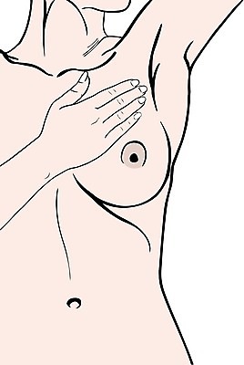 EPS 해외이미지 모양 손 여자 교육 신체 일러스트 손가락 해부 건강 병원 그래픽 시험 터치 흰색 질병 가슴 그림 예방 암 고립 돌봄 종양 탐지 해외202004 해외일러스트 컬러 의학 모션 사람 신체부위 파일형식 벡터 이미지허브