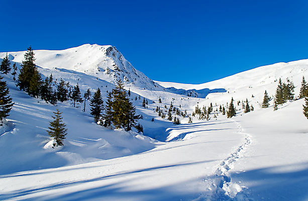 포토 JPG 해외이미지 나무 계절 길 여행 겨울 자국 자연 하늘 산 그림자 풍경 경사 사람없음 야외 파란색 빛 햇빛 환경 맑음 트래킹 하이킹 추위 흰색 소나무 정상 저녁 오솔길 돌산 고도 산등성이 서리 장면 산악지대 우크라이나 절정 눈내림 해외202004 해외포토 식물 유럽 컬러 레저 날씨 눈_날씨 태양 야간 생태계 파일형식 이미지허브