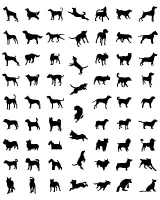 EPS 해외이미지 모양 디자인 실루엣 포즈 컨셉 일러스트 뼈 미술 서기 반려동물 세트 검은색 스패니얼 사발 개 리트리버 강아지 위험 자르기 테리어 래브라도리트리버 수집 사인 푸들 윤곽 불독 고립 달마시안 해외202004 해외일러스트 동물 컬러 포유류 모션 문화예술 촬영기법 사기그릇 파일형식 벡터 이미지허브