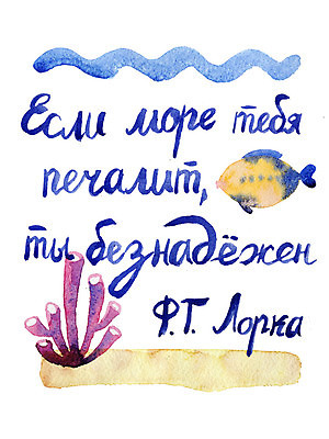 포토 JPG 해외이미지 손글씨 캘리그라피 수채화 어류 사람없음 여름 바닷속 산호 손그림 해외포토 계절 수중 수중동물 자포동물 파일형식 이미지허브