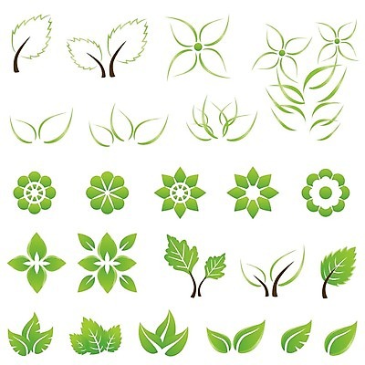 EPS 해외이미지 식물 디자인 컨셉 잎 일러스트 자연 아이디어 사람없음 장식 초록색 세트 새싹 성장 나뭇가지 수집 심볼 오브젝트 윤곽 엘리먼트 해외202004 해외일러스트 나무 컬러 생태계 파일형식 벡터 이미지허브