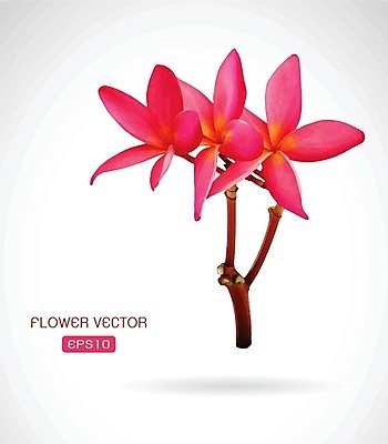 EPS 해외이미지 식물 꽃잎 꽃 꽃무늬 일러스트 자연 휴식 3 빨간색 노란색 정원 스파 벚꽃 흰색 신용카드 개화 향수 묘사 오브젝트 하와이 향기 냄새 발리 꽃가루 태평양 향 환영 악취 남쪽 고립 아열대 이국적 하와이인 알로하 해외202004 해외일러스트 외국인 바다 컬러 섬 컨셉 무늬 금융 미국 화장품 인사 가루 방향 생태계 인도네시아 파일형식 벡터 이미지허브