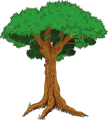 EPS 해외이미지 클립아트 나무 식물 디자인 낙엽 잎 꽃무늬 일러스트 자연 미술 야외 그래픽 초록색 환경 숲 큼 만화 그림 클립 상록수 옛날 해외202004 해외일러스트 꽃 컬러 무늬 문화예술 크기 생태계 파일형식 벡터 이미지허브