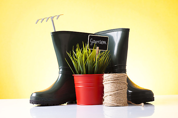 포토 JPG 해외이미지 식물 꽃 화분 장갑 잎 자연 사람없음 노란색 흙 봄 장비 공구 모종삽 삽 허브 물주기 원예 수선화 로즈메리 돌봄 세이지 많음 해외202004 해외포토 잡화 계절 컬러 컨셉 모션 취미 도구 생태계 파일형식 이미지허브