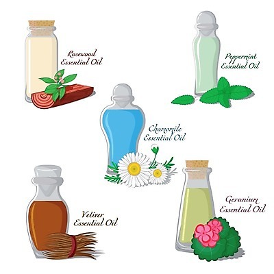 EPS 해외이미지 나무 식물 웰빙 디자인 꽃 잎 과일 일러스트 자연 유리 건강 치료 초록색 세트 라벨 스파 나뭇가지 신선 마사지 액체 상품 민트 허브 심볼 향수 플라스크 명상 사인 유기농 아로마 아로마테라피 테라피 고립 돌봄 제라늄 캐모마일 해외202004 해외일러스트 컬러 의학 모션 재질 프레임 실험기구 뷰티 화장품 생태계 파일형식 벡터 이미지허브