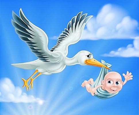 EPS 해외이미지 클립아트 동물 구름 캐릭터 여자 행복 어린이 백그라운드 날개 일러스트 조류 하늘 새로움 미술 소년 그래픽 파란색 임신 펼침 흰색 축하 아기 신생아 잡기 생일 만화 배송 기중기 그림 부리 적재 고립 마스코트 샤워실 황새 해외202004 해외일러스트 일러캐릭터 자연요소 기념일 남자 감정 컬러 컨셉 모션 문화예술 사람 중장비 샤워시설 파일형식 벡터 이미지허브
