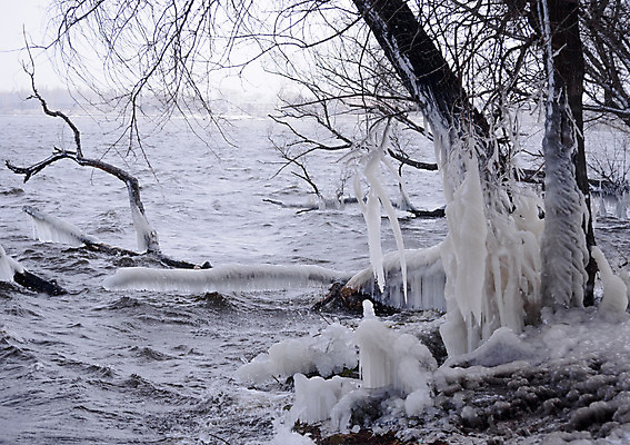 포토 JPG 해외이미지 나무 식물 계절 호수 백그라운드 겨울 자연 날씨 풍경 사람없음 야외 목재 물 파란색 강 환경 얼음 봄 폭포 추위 흰색 나뭇가지 떨어짐 신비 시원함 12월 크리스탈 묘사 빙하 서리 장면 온도 고드름 1월 내추럴 2월 눈내림 해외202004 해외포토 자연요소 컬러 컨셉 재료 눈_날씨 날짜 광석 생태계 파일형식 이미지허브