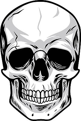 EPS 해외이미지 얼굴 포즈 백그라운드 컨셉 신체 일러스트 해부 뼈 골격 엑스레이 건강 미술 사람 약 머리 검은색 어둠 할로윈 흰색 죽음 치아 위험 무서움 심볼 오브젝트 사인 생물학 만들기 공포 해적 고립 돌봄 옛날 호러 해외202004 해외일러스트 교육 감정 컬러 의학 모션 문화예술 신체부위 소화기관 도둑 파일형식 벡터 이미지허브