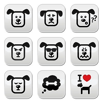 EPS 해외이미지 모양 동물 캐릭터 디자인 행복 얼굴 야생동물 생각 일러스트 뼈 미소 그래픽 반려동물 픽토그램 선글라스 장난감 반사 머리 검은색 산책 꿈 회색 분노 하트 잠 입 개 강아지 시원함 만화 심볼 사인 코 정사각형 냄새 귀 수의사 기르기 엘리먼트 유래 혼란 해외202004 해외일러스트 일러캐릭터 도형 감정 안경 컬러 컨셉 포유류 휴식 표정 신체부위 의사 돌봄 파일형식 벡터 이미지허브