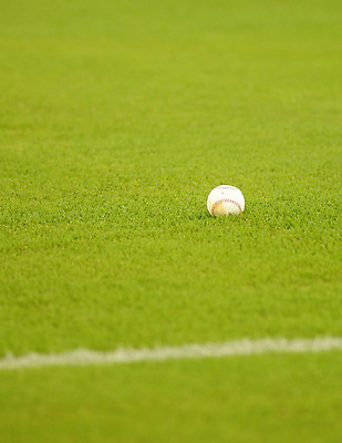 포토 JPG 해외이미지 스포츠 밭 공 사람없음 초록색 경기장 야구 게임 흰색 해외202004 해외포토 컬러 농업 스포츠시설 놀이 구기 파일형식 이미지허브