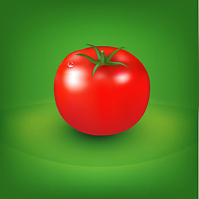 EPS 해외이미지 식물 음식 농업 다이어트 토마토 일러스트 자연 건강 빨간색 초록색 빛 농작물 샐러드 성장 흰색 원형 시장 닫기 먹기 오브젝트 유기농 원예 질감 생물학 성분 녹색배경 숙성 해외202004 해외일러스트 도형 웰빙 교육 산업 컬러 백그라운드 채소 모션 취미 생태계 파일형식 벡터 이미지허브