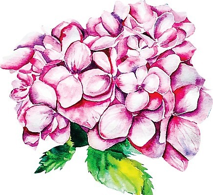 EPS 해외이미지 식물 디자인 꽃 분홍색 꽃다발 백그라운드 잎 꽃무늬 패턴 일러스트 자연 추상 수채화 빨간색 장미 보라색 활발 흰색 그리기 수국 해외202004 해외일러스트 컬러 컨셉 무늬 모션 생태계 파일형식 벡터 이미지허브