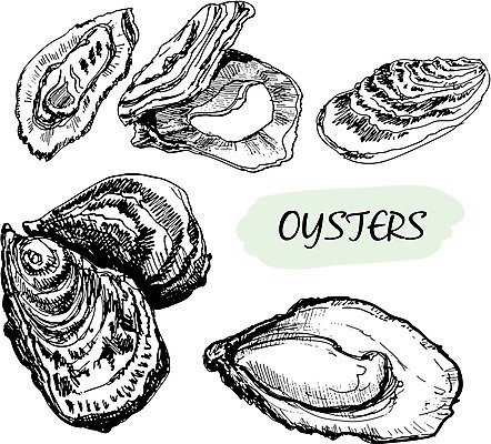 EPS 해외이미지 전통 음식 바다 일러스트 재료 자연 조개 연체동물 요리 그래픽 세트 식당 검은색 수중 식사 저녁식사 이탈리아 수확 껍질 굴 고급 맛 낙서 스케치 수집 먹기 해산물 준비 그림 날것 심플 성분 프랑스어 점심식사 옛날 해외202004 해외일러스트 문자 유럽 컬러 컨셉 농업 모션 어패류 무척추동물 미술 상점 생태계 파일형식 벡터 이미지허브