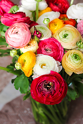 포토 JPG 해외이미지 식물 디자인 꽃 분홍색 꽃다발 결혼 백그라운드 잎 꽃무늬 패턴 일러스트 자연 엄마 수채화 선물 사랑 사람없음 장식 초록색 여름 빛 세트 장미 정원 봄 벚꽃 흰색 인사 신용카드 생일 숲 수집 엽서 초대 양귀비 모음 내추럴 고립 엘리먼트 그리너리 해외202004 해외포토 계절 기념일 감정 컬러 무늬 가족 이벤트 한글 금융 예절 편지 생태계 파일형식 트랜드컬러 이미지허브