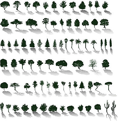 EPS 해외이미지 나무 식물 계절 공원 실루엣 줄기 단풍 잎 겨울 농업 일러스트 자연 날씨 왕관 손바닥 그림자 풍경 목재 여름 정원 성장 가을 흰색 나뭇가지 소나무 숲 땅 문신 싱글 그림 원예 조경 윤곽 전나무 자작나무 고립 미루나무 엘리먼트 옛날 자취 혼자 해외202004 해외일러스트 손 공공시설 산업 컬러 재료 촬영기법 취미 생태계 파일형식 벡터 이미지허브