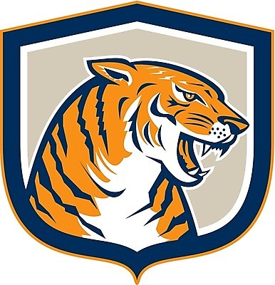 EPS 해외이미지 동물 야생동물 일러스트 앉기 그래픽 머리 고양이 줄무늬 분노 호랑이 복고 육식동물 방패 고립 해외202004 해외일러스트 감정 무늬 포유류 모션 신체부위 반려동물 파일형식 벡터 이미지허브