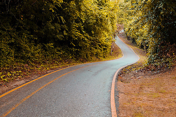 포토 JPG 해외이미지 나무 식물 계절 공원 도로 길 선 여행 잎 곡선 오렌지 교통시설 자연 거리 풍경 사람없음 야외 목재 빨간색 갈색 노란색 환경 침묵 운전 가을 나뭇가지 시골 숲 방향 장면 방법 해외202004 해외포토 공공시설 컬러 교통 과일 재료 모션 소리 시설 생태계 파일형식 이미지허브