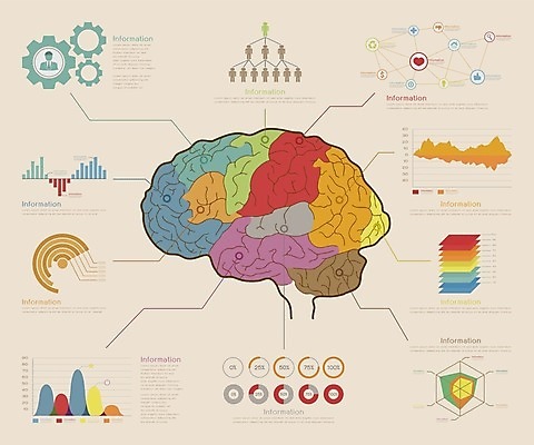 EPS 해외이미지 템플릿 디자인 배너 지도 인터넷 일러스트 비즈니스 통계 성공 그래프 추상 사람 타이포그라피 그래픽 세트 지구본 자료 재활용 인포그래픽 정보 수확 성장 바 인쇄 수집 심볼 사인 속도 뇌 보고서 레이아웃 문서 복고 페이지 네비게이션 해결 그런지 특별함 경제학 해외202004 해외일러스트 문자 교육 컨셉 무늬 농업 경제 친환경 파일형식 벡터 이미지허브