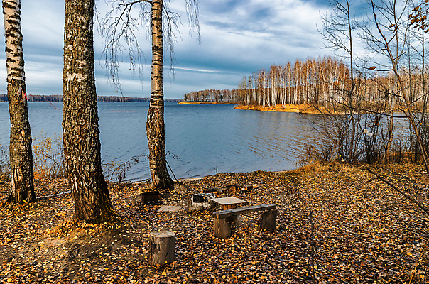 포토 JPG 해외이미지 나무 계절 공원 백그라운드 단풍 잎 오렌지 자연 풍경 사람없음 야외 빨간색 초록색 빛 컬러풀 햇빛 노란색 페인트 가을 황금 숲 9월 러시아 자작나무 10월 내추럴 해외202004 해외포토 식물 공공시설 유럽 컬러 과일 태양 날짜 생태계 파일형식 이미지허브