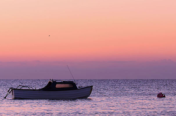 포토 JPG 해외이미지 바다 갈매기 사람없음 빛 황혼 일몰 보트 저녁 정박 부표 해외202004 해외포토 배_교통 조류 노을 야간 파일형식 이미지허브