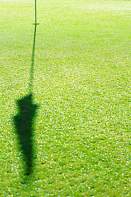 포토 JPG 해외이미지 식물 1 라이프스타일 공원 스포츠 여행 백그라운드 패턴 밭 골프 자연 휴가 그림자 잔디 사람없음 야외 컵 초록색 운동 우주 봄 게임 흰색 깃발 신선 구멍 막대기 싱글 질감 내추럴 넣기 해외202004 해외포토 식기 계절 공공시설 컬러 무늬 농업 모션 놀이 건강 생활 구기 생태계 파일형식 이미지허브