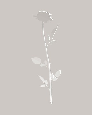 EPS 해외이미지 모양 디자인 꽃 실루엣 종이 줄기 백그라운드 일러스트 사랑 그래픽 장미 3D 회색 벚꽃 흰색 신용카드 그늘 심볼 사인 고립 스타일 해외202004 해외일러스트 식물 감정 컬러 촬영기법 금융 디지털합성 파일형식 벡터 이미지허브