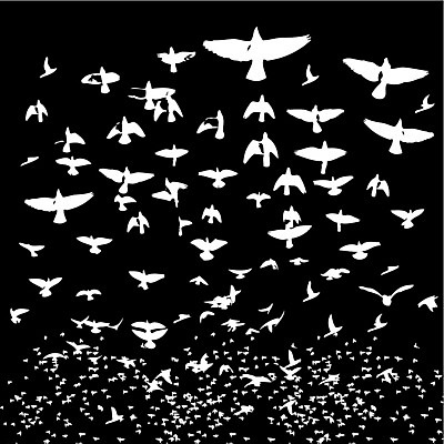 EPS 해외이미지 동물 디자인 계절 실루엣 야생동물 백그라운드 겨울 패턴 날개 일러스트 자연 갈매기 조류 풍경 야외 그래픽 세트 덮개 가을 그룹 숲 인쇄 심볼 깃털 그림 독수리 실타래 거위 고립 파라다이스 많음 해외202004 해외일러스트 컨셉 무늬 촬영기법 뚜껑 생태계 파일형식 벡터 이미지허브