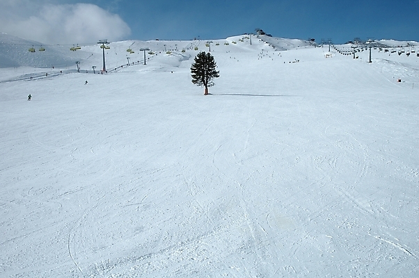 포토 JPG 해외이미지 나무 구름 1 계절 겨울 의자 자연 하늘 휴가 산 사람 풍경 경사 사람없음 야외 계곡 맑음 흰색 시골 오스트리아 당기기 정상 싱글 휴양지 알프스 리프트 장면 스키선수 절정 해외202004 해외포토 자연요소 식물 유럽 컬러 가구 모션 날씨 운동선수 장소 생태계 파일형식 이미지허브