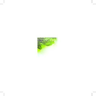 EPS 해외이미지 나무 계절 크리스마스 겨울 일러스트 새해 프레임 장식 초록색 나뭇가지 축하 소나무 신용카드 상록수 카피스페이스 해외202004 해외일러스트 식물 기념일 컬러 컨셉 금융 공백 파일형식 벡터 이벤트 경제 이미지허브