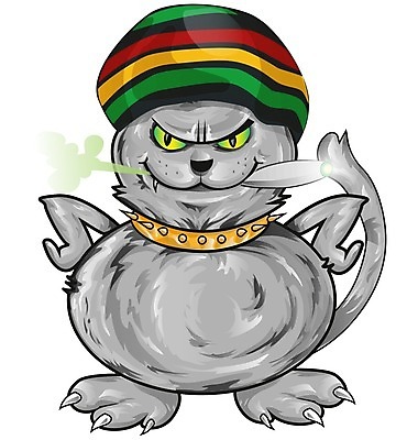 EPS 해외이미지 클립아트 캐릭터 디자인 행복 음악 일러스트 수염 담배 그래픽 초록색 반려동물 고양이 회색 흰색 유머 만화 그림 코믹 생강 고립 마스코트 자메이카 대마초 마리화나 해외202004 해외일러스트 일러캐릭터 동물 감정 컬러 북아메리카 채소 포유류 문화예술 마약 파일형식 벡터 이미지허브