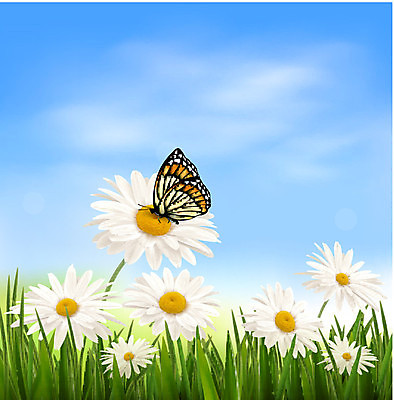 EPS 해외이미지 식물 구름 디자인 계절 꽃 행복 나비 백그라운드 잎 꽃무늬 일러스트 자연 하늘 휴가 부활절 선물 야외 초록색 여름 파란색 컬러풀 태양 노란색 정원 맑음 페인트 봄 벚꽃 흰색 축하 인사 신선 오브젝트 데이지 심플 엘리먼트 캐모마일 해외202004 해외일러스트 자연요소 기념일 감정 컬러 곤충 컨셉 무늬 날씨 예절 허브 생태계 파일형식 벡터 이미지허브