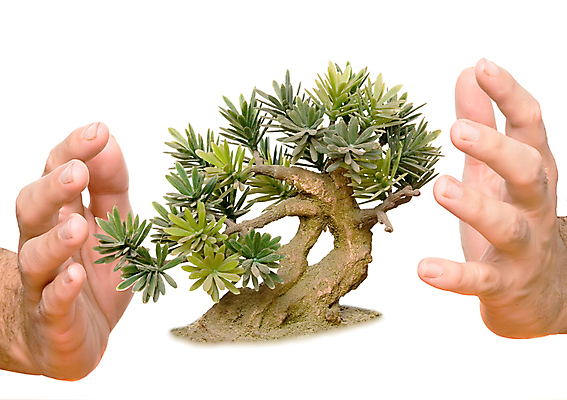 포토 JPG 해외이미지 나무 식물 손 지구 백그라운드 잎 자연 미래 새로움 손바닥 사람없음 초록색 환경 성장 흰색 자녀 보호 발자국 심볼 생태계 리빙 세대 개발 고립 생태학 심기 이슈 해외202004 해외포토 교육 컬러 컨셉 자국 모션 신체부위 파일형식 이미지허브