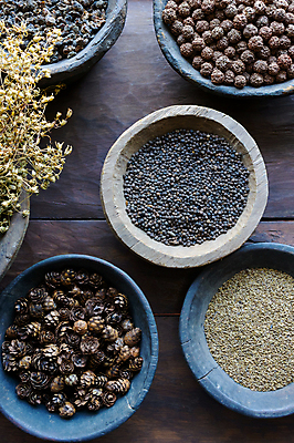 포토 JPG 해외이미지 식물 전통 라이프스타일 꽃 아시아 음식 재료 자연 건조 건강 요리 사람없음 치료 약 스파 양념 사발 약초 인도인 먹기 허브 향신료 유기농 복고 뿌리 네팔 향 후추 아로마테라피 테라피 조제 내추럴 정물화 치료제 해외202004 해외포토 외국인 웰빙 나라 의학 모션 동양인 생활 뷰티 풀_식물 사기그릇 그림 생태계 만들기 향미료 파일형식 이미지허브