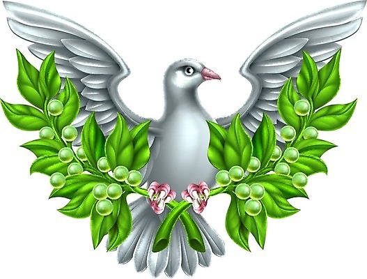 EPS 해외이미지 식물 동물 디자인 종교 백그라운드 올림픽 컨셉 잎 날개 일러스트 자연 조류 세계 평화 성경 화환 희망 자유 흰색 나뭇가지 심볼 사인 올리브 비둘기 신성 그리스인 고립 무료 엘리먼트 월계수 필승 해외202004 해외일러스트 서양인 나무 열매 꽃 감정 스포츠 컬러 종교용품 우승 생태계 파일형식 벡터 이미지허브