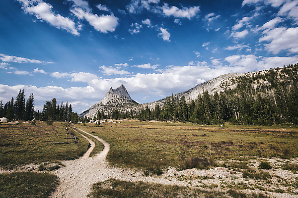 포토 JPG 해외이미지 나무 구름 공원 길 여행 자국 자연 하늘 휴가 산 국립공원 풍경 사람없음 야외 여름 환경 미국 하이킹 황무지 고독 보호 숲 방향 배낭여행 캘리포니아 멀리 기후변화 방법 요세미티국립공원 해외202004 해외포토 자연요소 식물 계절 공공시설 감정 컨셉 북아메리카 레저 날씨 변화 생태계 파일형식 이미지허브