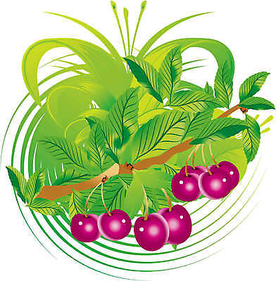 EPS 해외이미지 나무 식물 전통 디자인 계절 꽃 실루엣 문화 음료 음식 줄기 분홍색 백그라운드 잎 꽃무늬 패턴 과일 일러스트 자연 디저트 건강 미술 사람 그래픽 빨간색 여름 태양 일본 벚꽃 나뭇가지 체리 그룹 먹기 오브젝트 그림 동쪽 슈퍼마켓 해외202004 해외일러스트 자연요소 아시아 컬러 무늬 모션 문화예술 촬영기법 상점 방향 생태계 파일형식 벡터 이미지허브