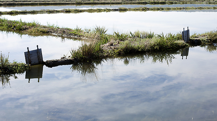 포토 JPG 해외이미지 산업 전통문화 호수 음식 바다 여행 백그라운드 재료 자연 하늘 풍경 사람없음 야외 물 여름 파란색 태양 농장 반사 갈색 맑음 일몰 흰색 물방울 농부 숲 크리스탈 향신료 소금 흙더미 우크라이나 절임 짠맛 해외202004 해외포토 자연요소 직업 전통 계절 유럽 문화 컬러 농업 날씨 노을 흙 맛 광석 생태계 향미료 파일형식 더미 이미지허브
