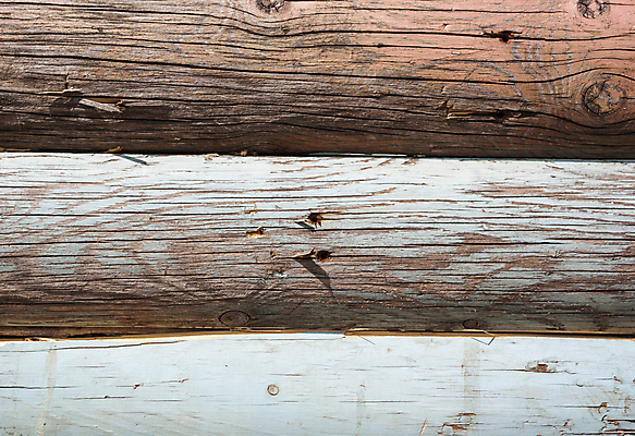 포토 JPG 해외이미지 디자인 외관 벽 백그라운드 패턴 자연 벽지 표면 날씨 추상 주택 사람없음 건물 목재 장식 파란색 울타리 갈색 페인트 줄무늬 수확 판넬 얼룩 거친 널 묘사 질감 복고 목공예 내추럴 그런지 수목 옛날 줄서기 해외202004 해외포토 나무 건축물 컬러 무늬 농업 재료 모션 담장 공예 생태계 파일형식 이미지허브