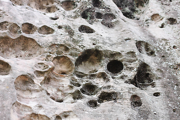 포토 JPG 해외이미지 식물 계절 공원 아시아 여행 백그라운드 잎 2 자국 자연 하늘 산 파노라마 풍경 사람없음 야외 여름 환경 봄 하이킹 안개 바위 신선 소나무 숲 열대우림 언덕 거인 삼림지대 웅장함 전국 해외202004 해외포토 나무 공공시설 나라 레저 날씨 촬영기법 돌_바위 생태계 파일형식 이미지허브
