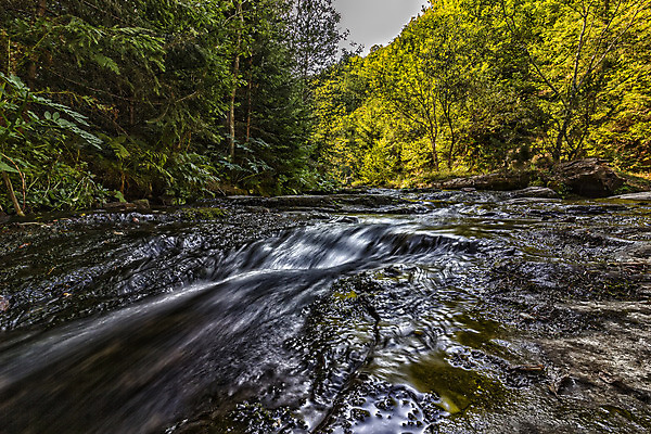 포토 JPG 해외이미지 나무 식물 계절 공원 여행 백그라운드 잎 자연 조류 휴식 건강 풍경 사람없음 야외 목재 초록색 물 여름 빛 강 평화 환경 봄 활발 폭포 흐름 가을 바위 신선 개울 수증기 숲 캔버스 장노출 해외202004 해외포토 자연요소 동물 공공시설 컬러 컨셉 재료 촬영기법 돌_바위 생태계 파일형식 이미지허브
