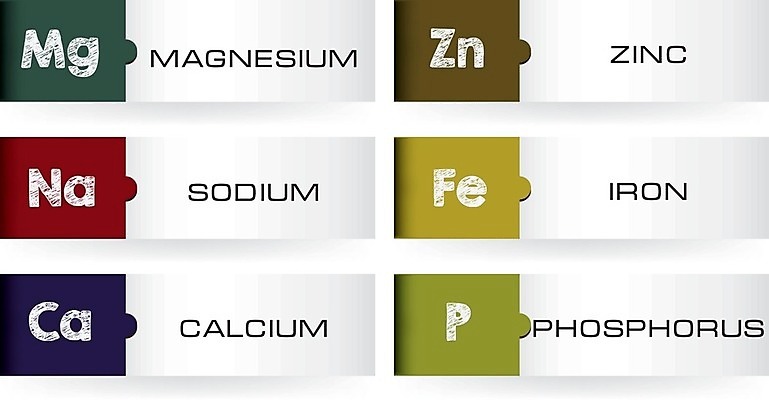 EPS 해외이미지 남자 신체 일러스트 건강 약 라벨 P 철 유기농 칼슘 아연 해외202004 해외일러스트 웰빙 알파벳 의학 프레임 사람 영양소 파일형식 벡터 이미지허브