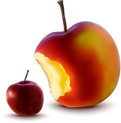 EPS 해외이미지 식물 음식 다이어트 과일 일러스트 자연 건강 그림자 미술 빨간색 초록색 여름 빛 컬러풀 노란색 정원 수확 가을 흰색 신선 그리기 달콤 맛 사과 매끈함 큼 먹기 그림 유기농 질감 내추럴 고립 채식주의자 해외202004 해외일러스트 웰빙 계절 컬러 컨셉 농업 모션 문화예술 감각 크기 생태계 채식 파일형식 벡터 이미지허브