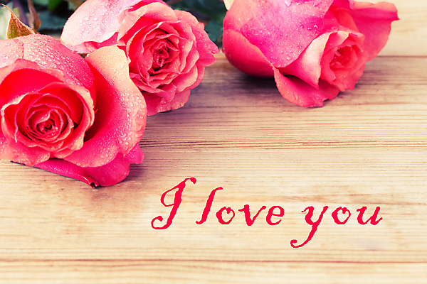 포토 JPG 해외이미지 디자인 꽃잎 꽃 종이 분홍색 결혼 백그라운드 컨셉 겨울 꽃무늬 패턴 캘리그라피 텍스트 탁자 휴가 발렌타인데이 선물 사랑 사람없음 목재 장식 빨간색 장미 쪽지 공백 수확 흰색 하트 신용카드 플랫 정상 편지 심볼 질감 복고 위치 I 2월 해외202004 해외포토 모양 나무 식물 알파벳 계절 감정 컬러 가구 무늬 농업 재료 데이이벤트 이벤트 금융 날짜 파일형식 이미지허브